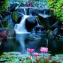 Ooomari - Ocean