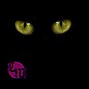 Loki Melo - Jungle Trap - HARD Trap beat