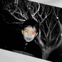 ORANGESKIII - Lick