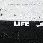Aliengroover - Life