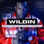 Aliengroover - Wildin