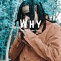 Aliengroover - Why (No Hook)
