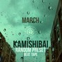 Random Preset - MARCH