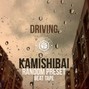 Random Preset - Driving