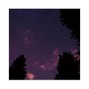 Outlit - BNN w/ Grimlow