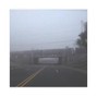Outlit - Highroller w/ Grimlow