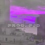 pjd. - IMMORTALIZE