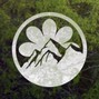 Stay Pretty Records - Roach