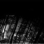 p a l e - Silence