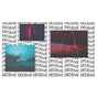 Deceive - beam