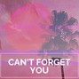 Le Mak - CAN'T FORGET YOU / Guitar Pop Type Beat