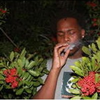 Tev