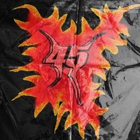 45panik