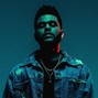 FloweyTheProducer - ABOUT
