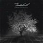 Andy Mitchell - Always Wanted It To