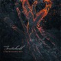 Andy Mitchell - Now This