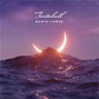 Andy Mitchell - Moon Shines