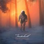 Andy Mitchell - No Rewind