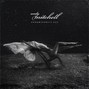 Andy Mitchell - Doubt
