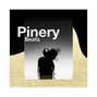 Pinery Music - Needs and Wants (prod. Pinery)
