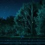 AnthonyWhang - elevs