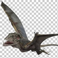 RHEYR