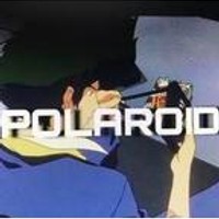 POLAROID