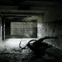 .cutspace - mammal