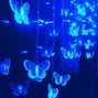 683baby - BUTTERFFLIES