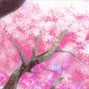 Coolerboy - EDM Trap Type Beat - Sakura