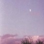 prod. sneezii - Love