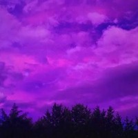 prod. sneezii