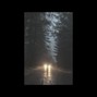 Suku - Trees