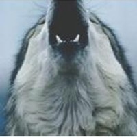 Prevalent