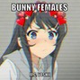 M.C. Yoshii - Bunny Females (Bunny Girl Senpai ED Remix)