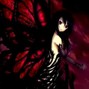 Oculolinctus - fragile wings