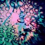 4K - ADHD