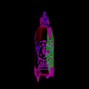 PROD.ABERRATION - FRIEDRICE