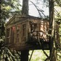 CoreMusicInc - Treehouse