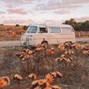 CoreMusicInc - Good Times