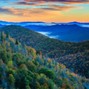 CoreMusicInc - Redwood