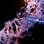 CoreMusicInc - Hybrid