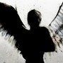 CoreMusicInc - Angel Wings