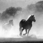 CoreMusicInc - Moonshine