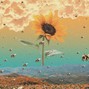CoreMusicInc - Sunflower