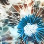 CoreMusicInc - Seeds & Stems