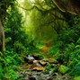 CoreMusicInc - Amazon