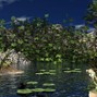 CoreMusicInc - Nexus