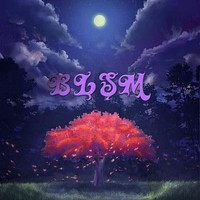 BLSM4L