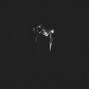 LAER - Boom